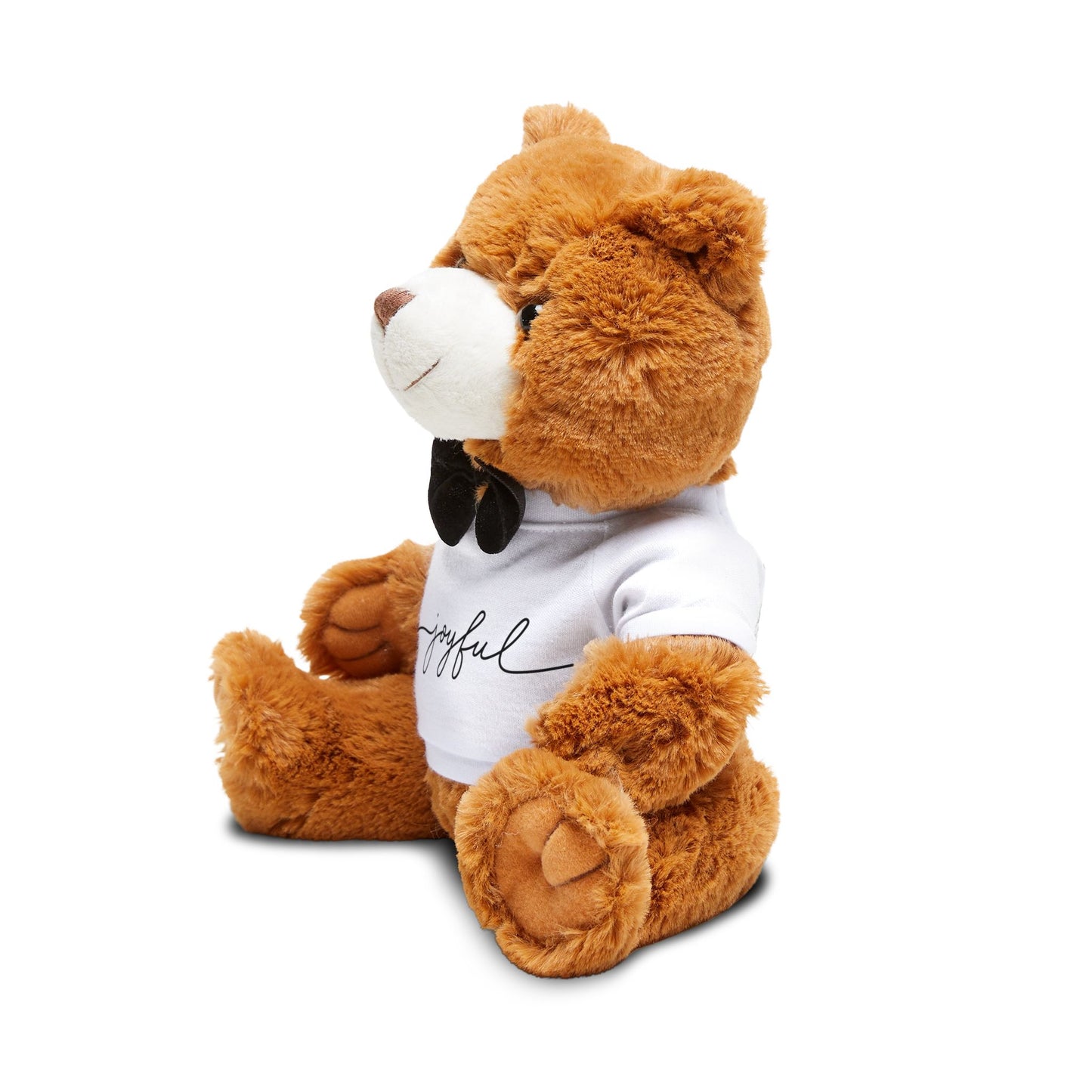 Joyful Teddy Bear with T-Shirt