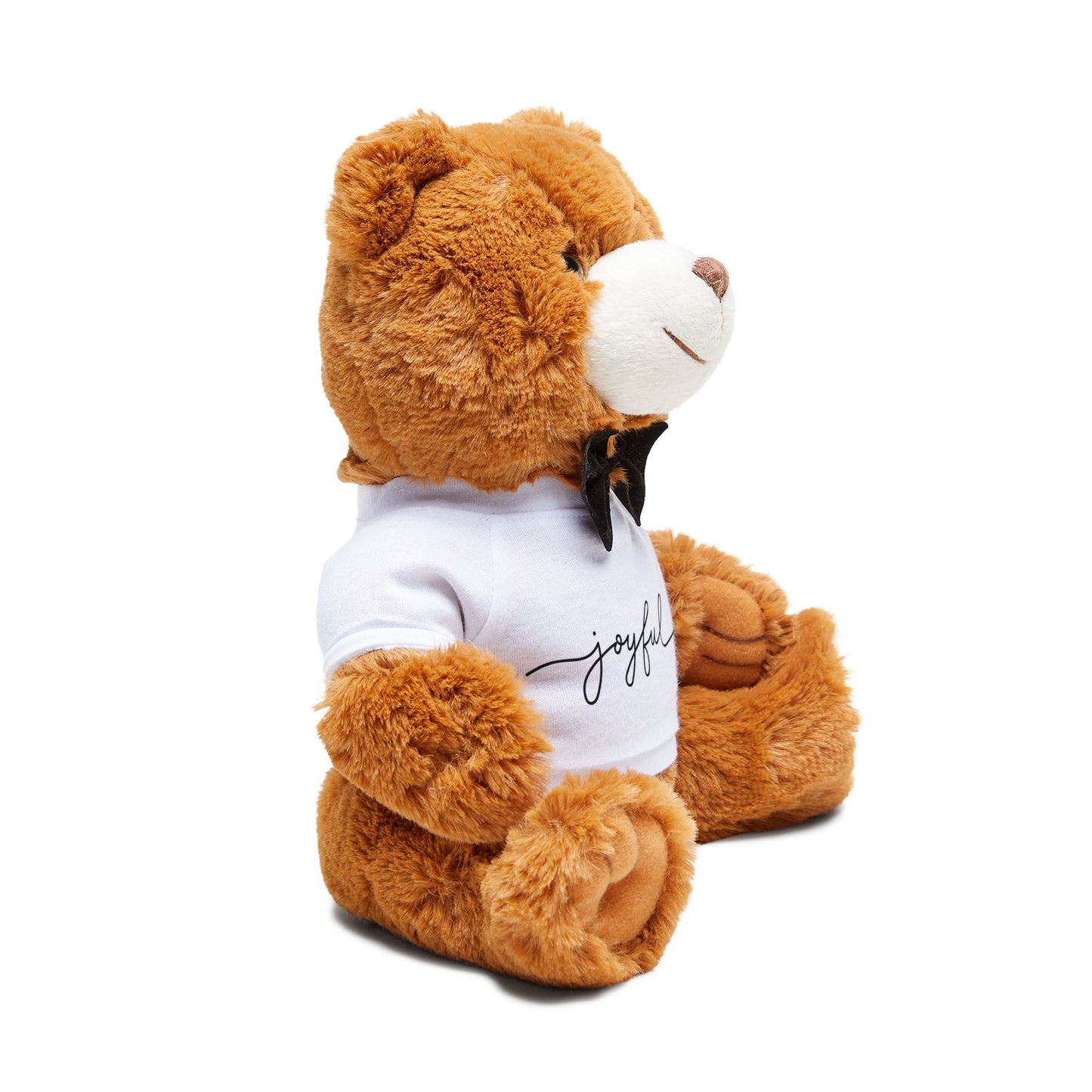 Joyful Teddy Bear with T-Shirt